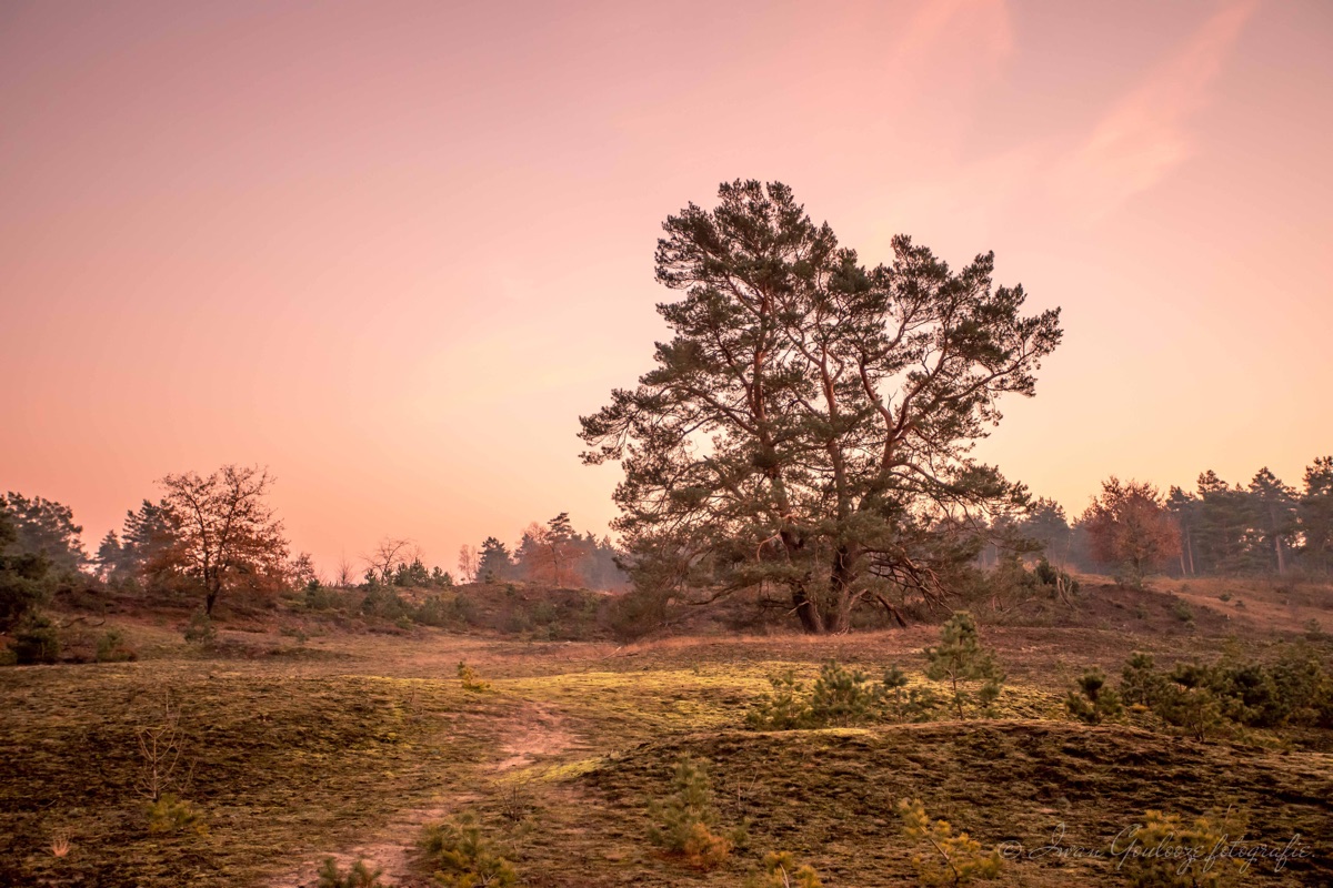 Overige Landschappen