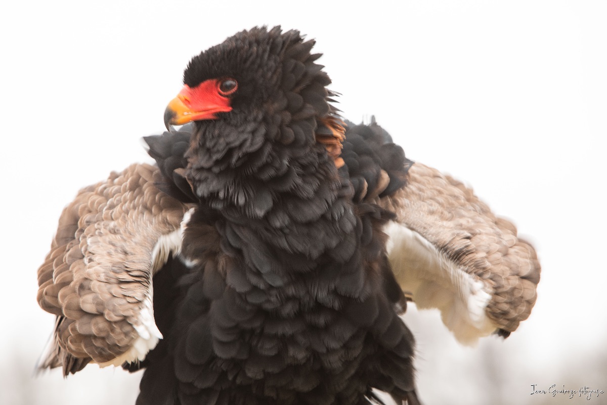 2Y6A4193 210116 12 57 18