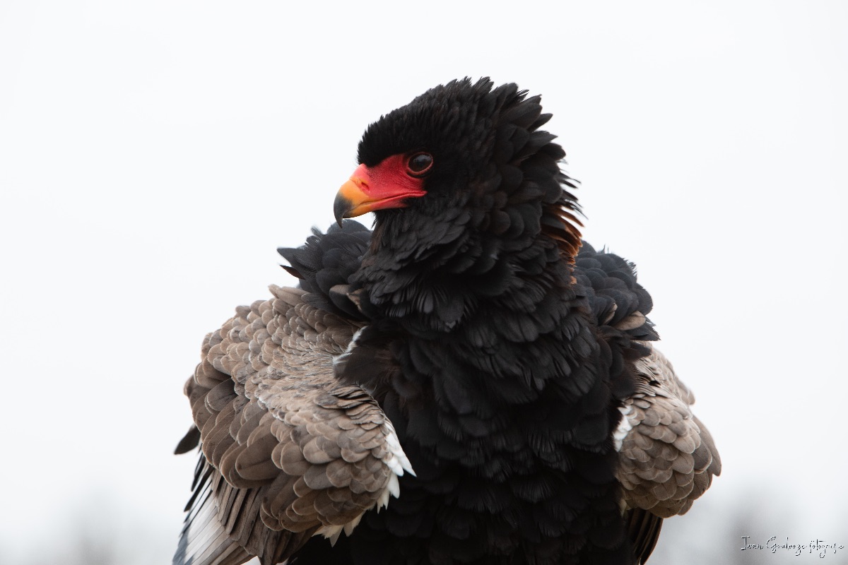 2Y6A4195 210116 12 57 19