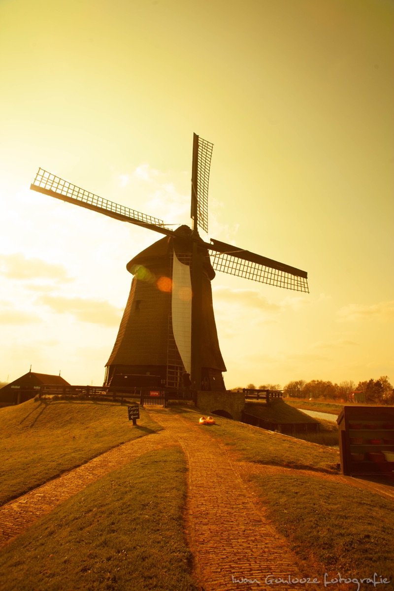 Molen001 75