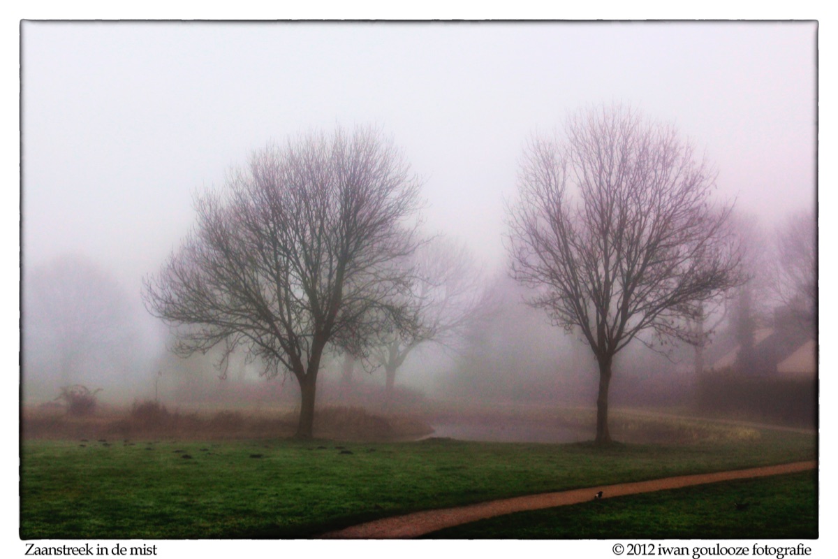 Mist11