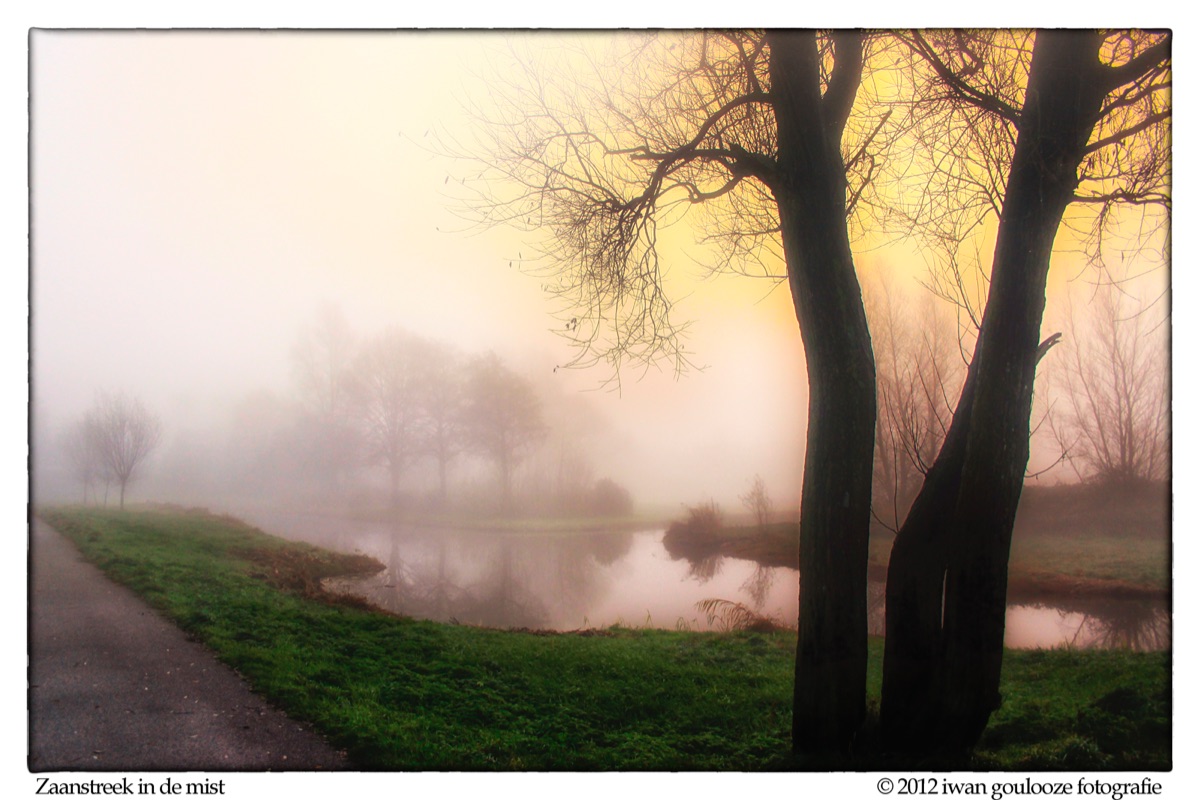 Mist9